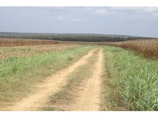 Property photo 36 - REAL ESTATE AUCTION - 1,000+/- ACRES OFFERED IN 10 TRACTS IN PITTSBURG CO., OKLAHOMA